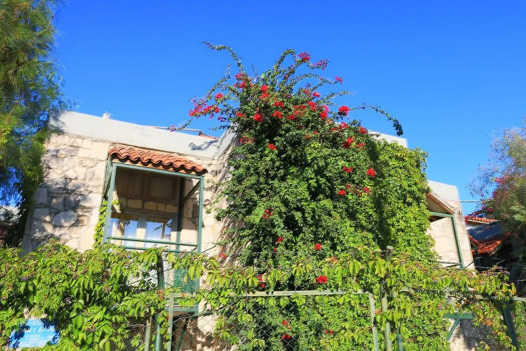 Green House Apart Hotel Gumbet 3*,  Turkey
